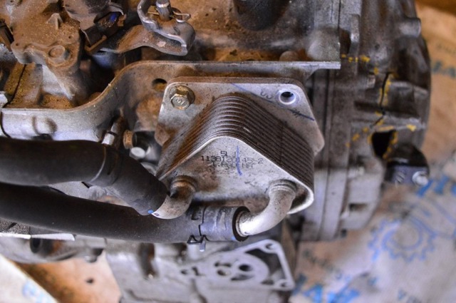 Радіатор охолодження, АКПП 255605LJ004 HONDA