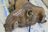 Колектор випускний 285112G710 HYUNDAI
