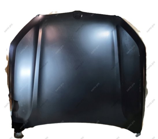 Капот 41007933415 BMW