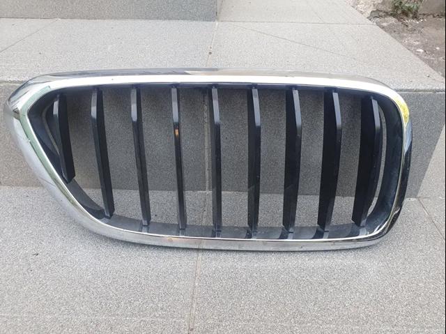 Захисна решітка радіатора 51137412422 BMW