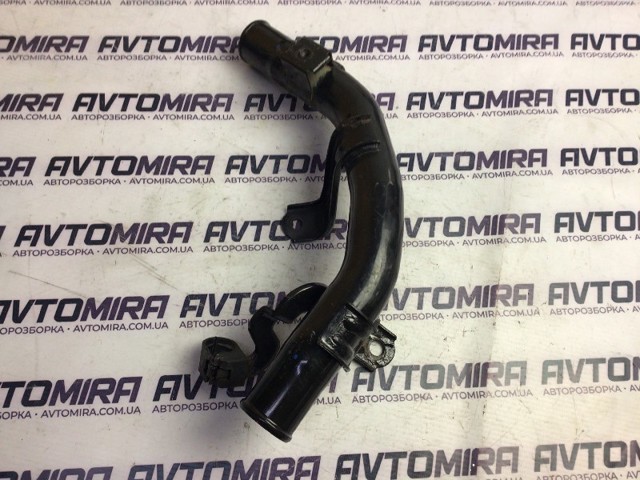 173610N010 Toyota