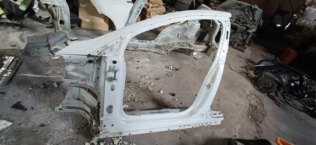 Отвір передніх лівих дверей 1037216S0A TESLA