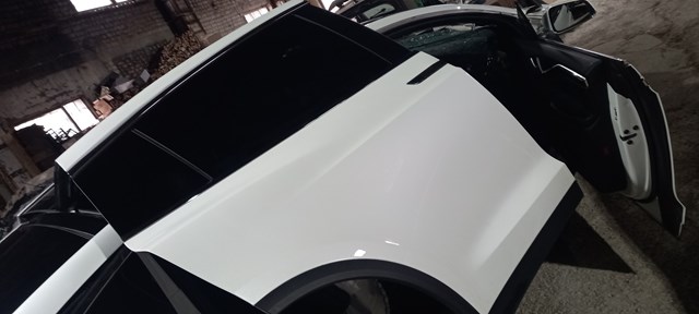 Двері задні, праві 1069538E0A TESLA