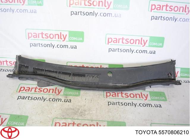 Водостік лобового скла, жабо 5570806210 TOYOTA