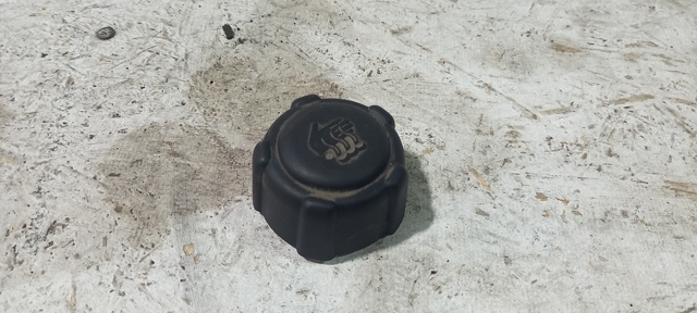 Кришка / пробка розширювального бачка 8200048024 RENAULT