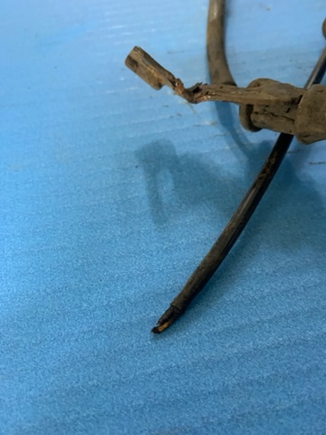 Датчик АБС (ABS) передній, правий KIA Ceed