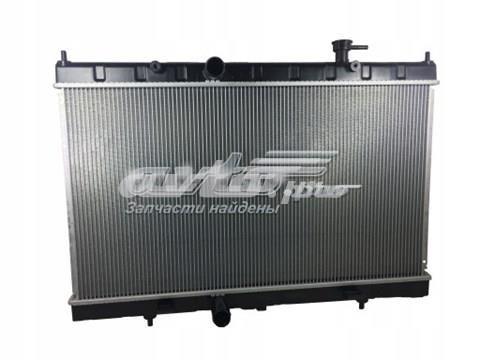 Радіатор основний 27X1081 POLCAR