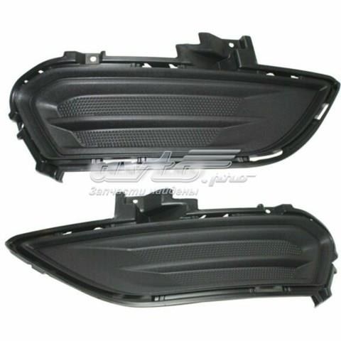 Заглушка протитуманок, ліва DS7Z17B814AA FORD