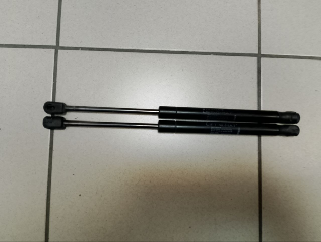 Амортизатор задньої ляди Рено Меган II