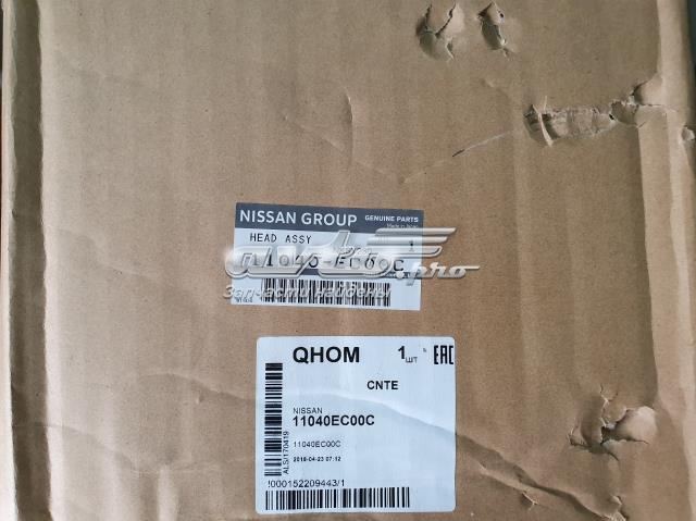 Головка блоку циліндрів 11039EB30A NISSAN