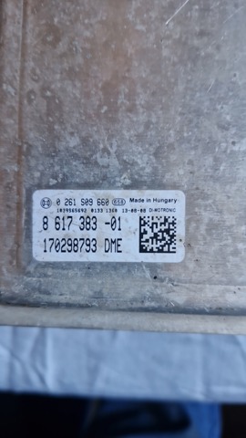 Мізки двигуна 12147637461 BMW