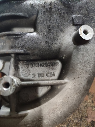 Колектор впускний 03G129713P VAG