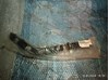 Направляюча заднього бампера, права 866142W000 HYUNDAI