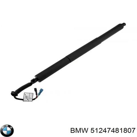 Амортизатор задньої ляди 51247481807 BMW
