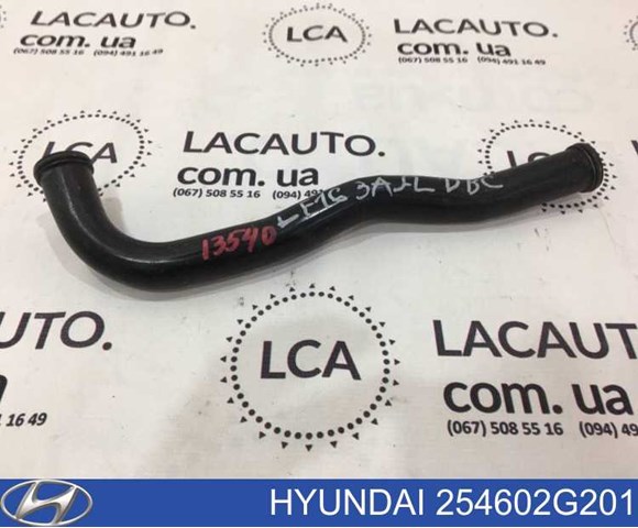 Шланг/патрубок водяного насосу, приймальний 254602G201 HYUNDAI