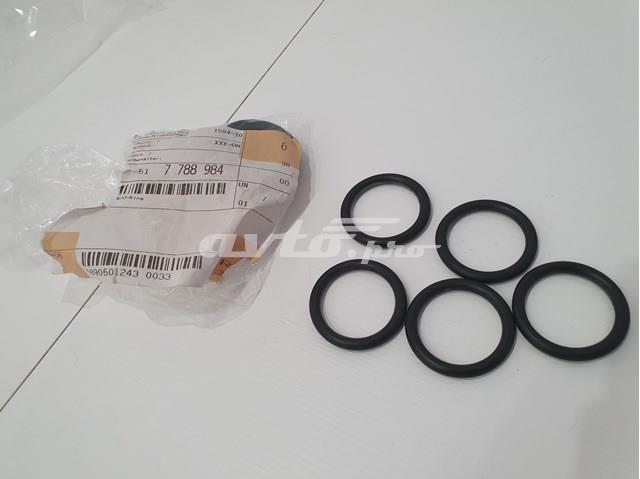 Прокладка корпусу термостата 11517788984 BMW