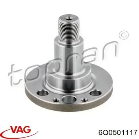 Кулаки поворотні задньої підвіски 6Q0501117 VAG