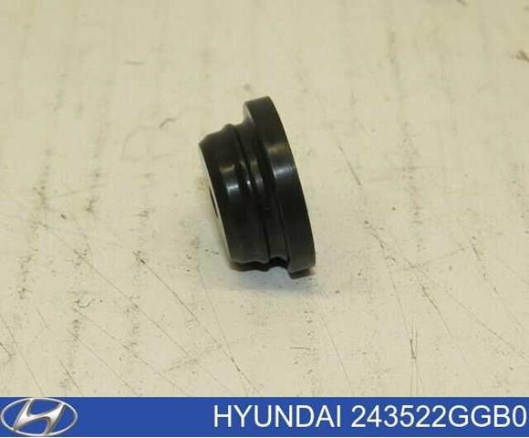 Заглушка кузова 243522GGB0 HYUNDAI
