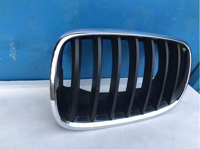 Решітка радіатора ліва 51137171395 BMW