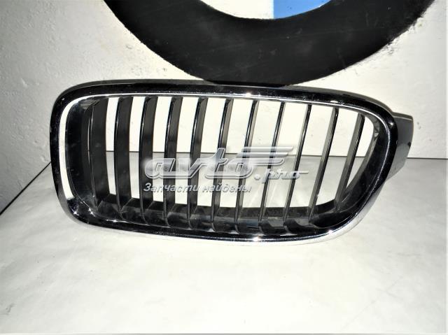 Решітка радіатора ліва 51137263479 BMW