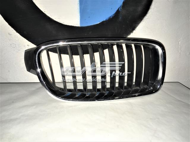 Решітка радіатора права 51137263480 BMW