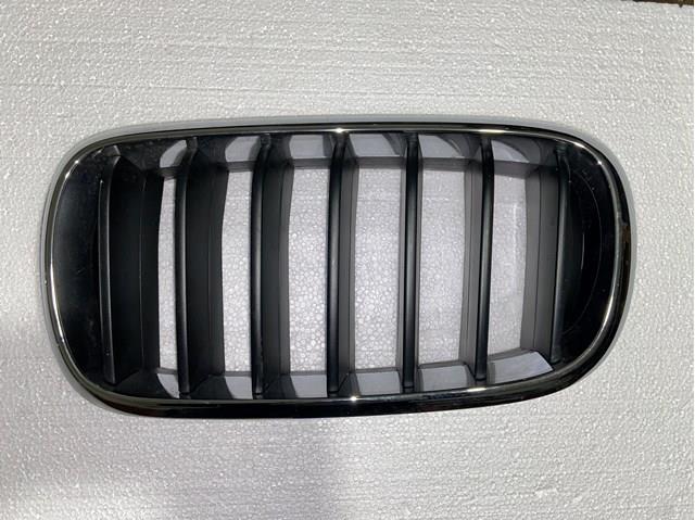 Решітка радіатора ліва 51137316061 BMW