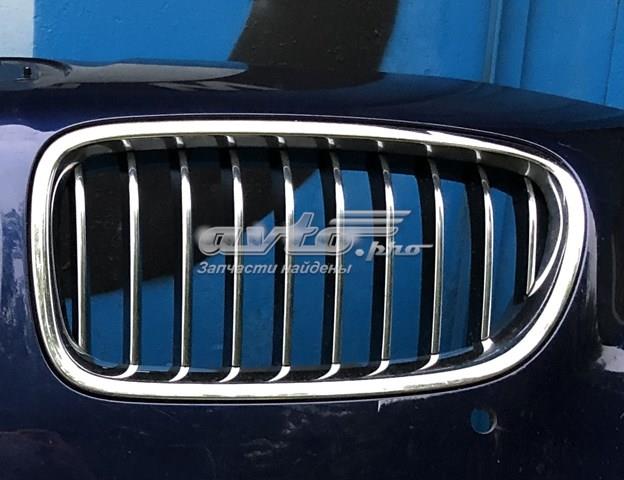 Решітка радіатора ліва 51137412323 BMW