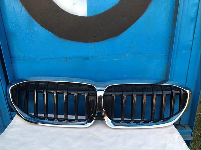 Решітка радіатора 51137457041 BMW