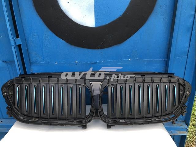 Захисна решітка радіатора 51137497280 BMW