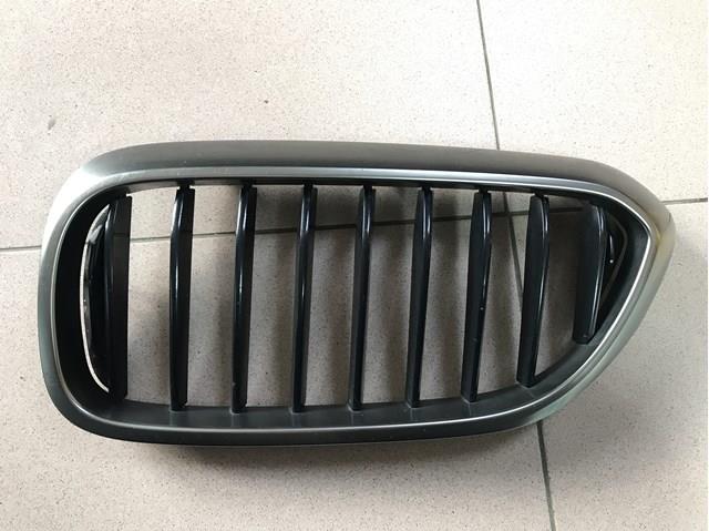 Решітка радіатора ліва 51138070469 BMW