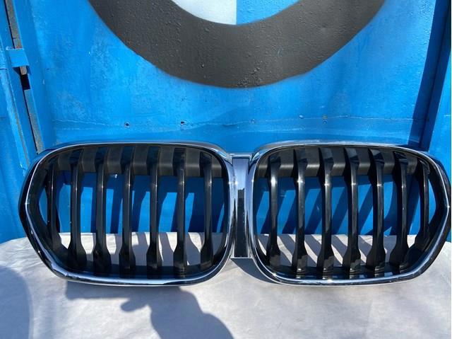 Решітка радіатора 51138080619 BMW