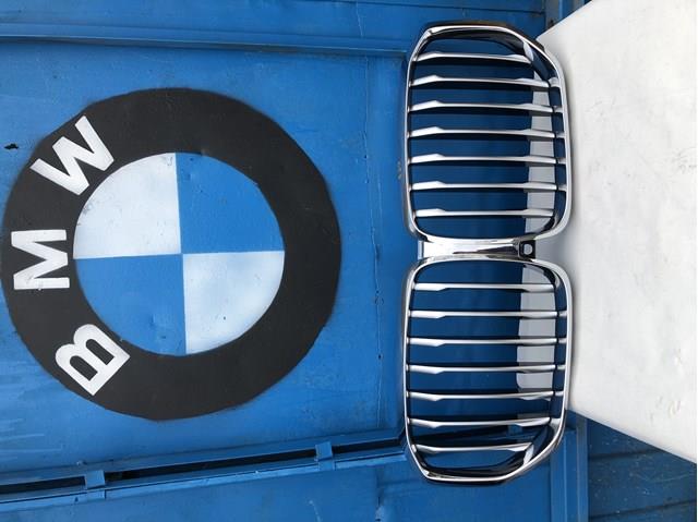 Захисна решітка радіатора 51138096590 BMW