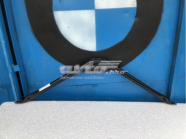 Верхній стабілізатор поперечної стійкості 51647245789 BMW