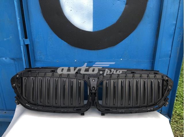 Облицювання радіатора 51747497279 BMW