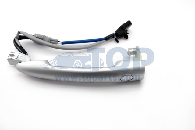 Ручка передніх дверей, зовнішня TQ13009 TQPARTS