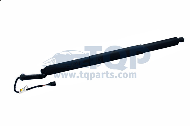 Амортизатор ляди TQ31002 TQPARTS