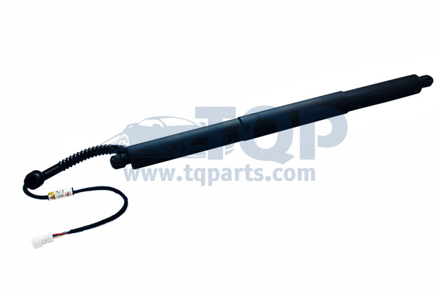Стійка задніх дверей TQ31003 TQPARTS