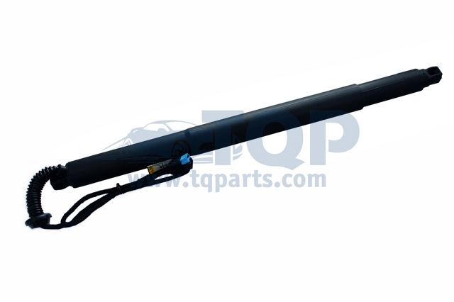 Амортизатор двері задньої TQ31004 TQPARTS