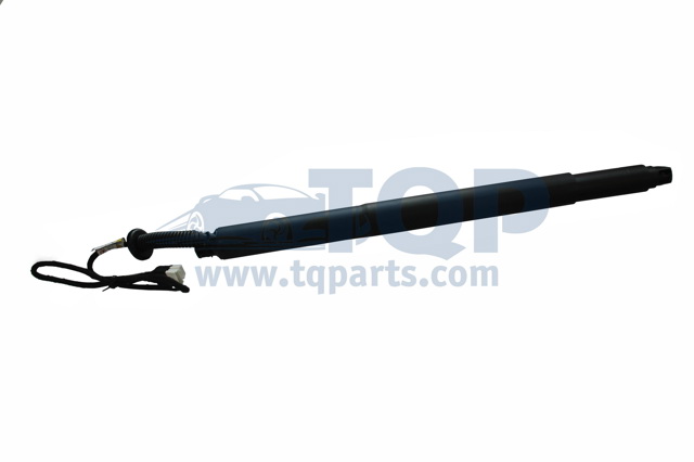 Стійка задніх дверей TQ31005 TQPARTS