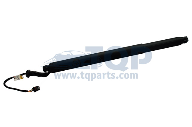 Амортизатор кришки багажника TQ31009 TQPARTS