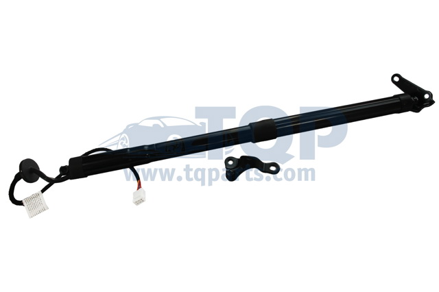 Амортизатор ляди TQ31013 TQPARTS