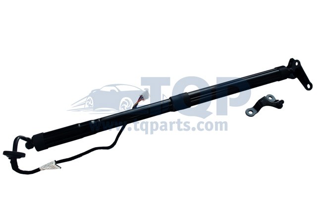 Амортизатор двері п'ятої TQ31014 TQPARTS