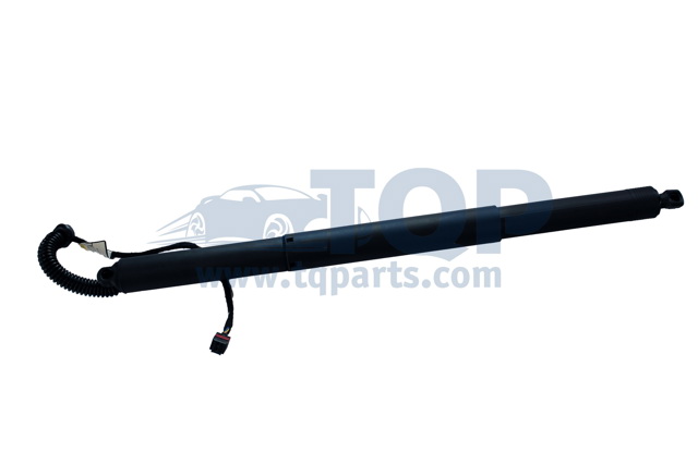 Амортизатор задньої ляди TQ31024 TQPARTS