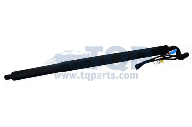 Амортизатор задньої ляди TQ31026 TQPARTS