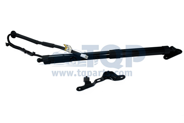 Стійка задніх дверей TQ31030 TQPARTS