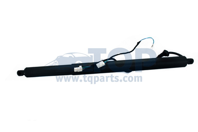 Стійка задніх дверей TQ31039 TQPARTS