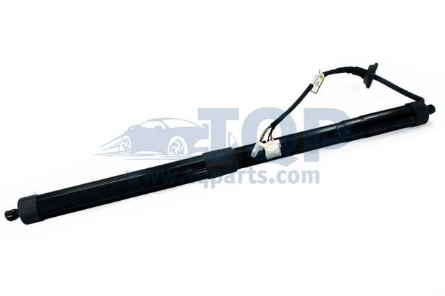 Амортизатор двері задньої TQ31040 TQPARTS