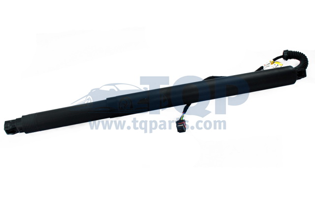 Амортизатор двері 3/5-ї задньої TQ31055 TQPARTS