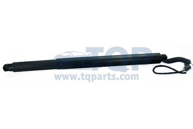 Стійка задніх дверей TQ31056 TQPARTS