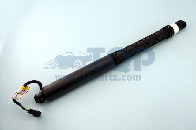 Амортизатор двері 3/5-ї задньої TQ31069 TQPARTS